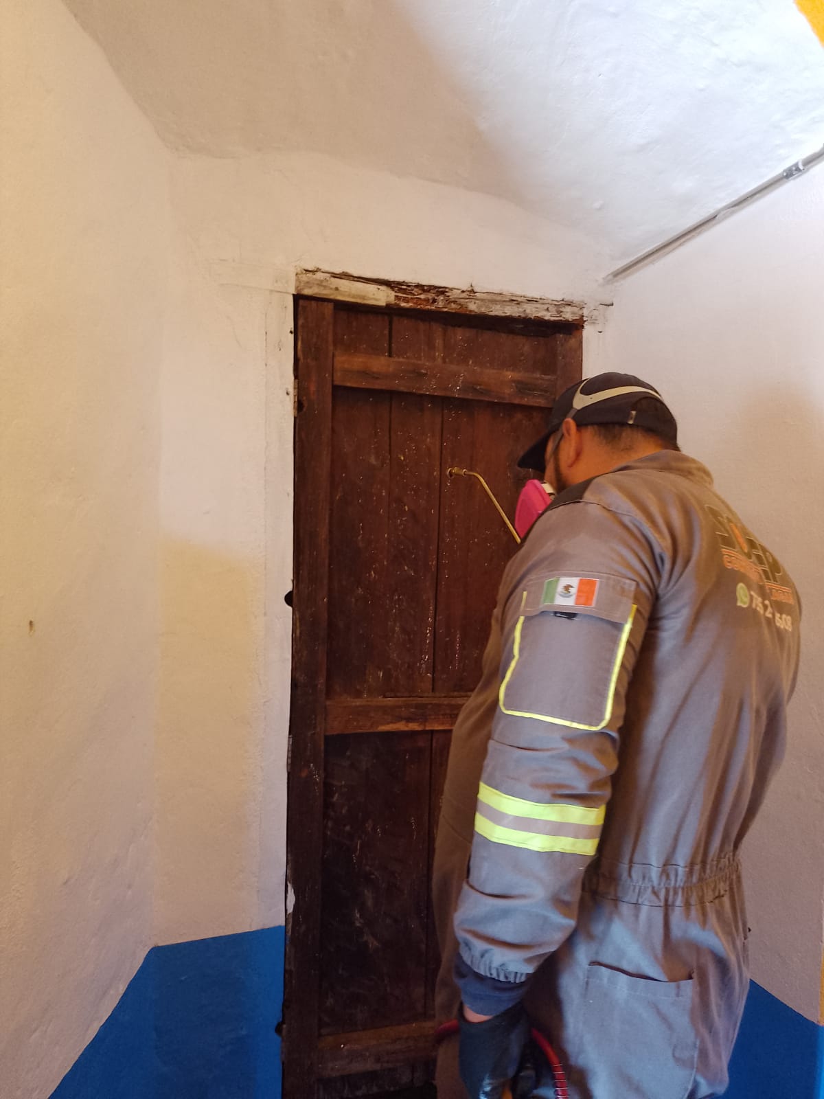 Personal de SOFEP realizando labores con equipo de trabajo